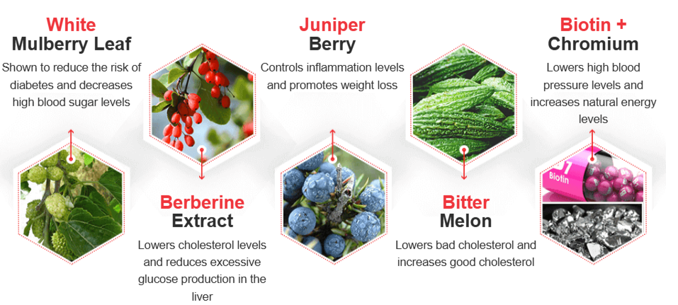 GlucoRegulate-Blood-Balance- Ingredients