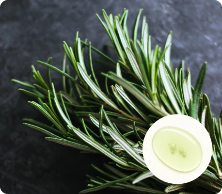 Roota Hair Growth Serum Ingredient 1